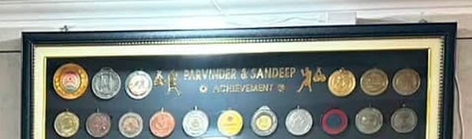 Parvinder & Sandeep — Achievement medals